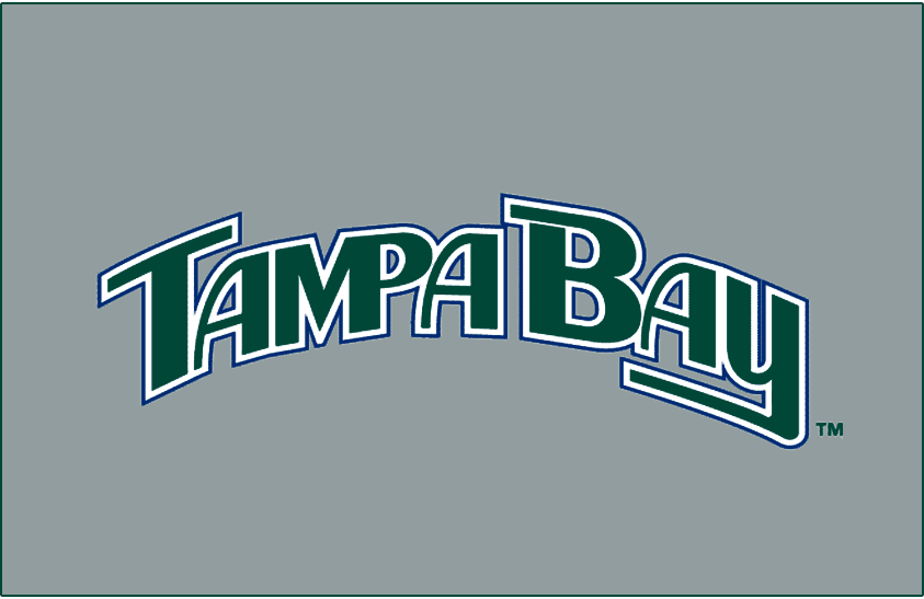Tampa Bay Devil Rays 2005-2007 Jersey Logo fabric transfer